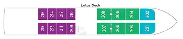AmaDahlia - Lotus Deck